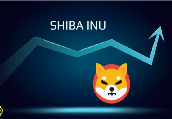 Will Shiba Inu Coin Reach $1